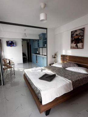 Blue apartment